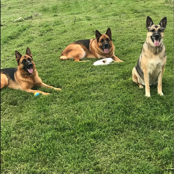 Meet your Posher, Martina - Picture 2 of 2